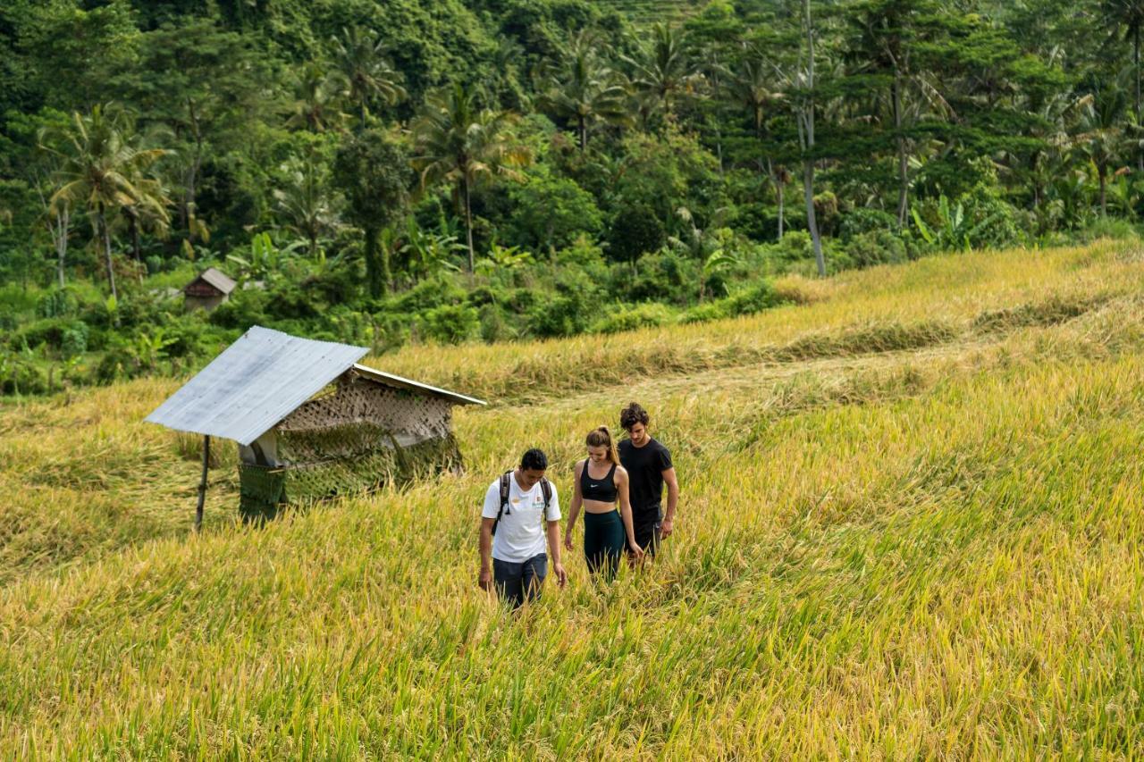 Wapa Di Ume Sidemen Hotell Eksteriør bilde A rice field in Bali